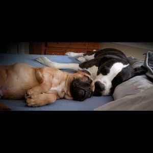 Meet your Posher, Katy